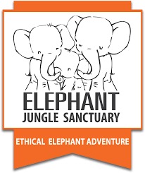 Elephant Jungle